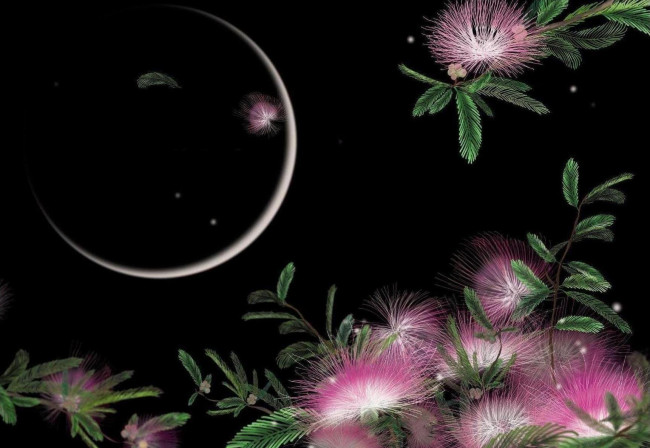 Обои картинки фото 3д, графика, flowers, цветы