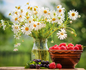 Картинка еда фрукты +ягоды малина ромашки смородина