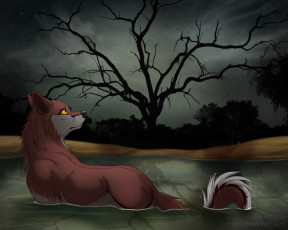 Картинка рисованные животные +лисы лиса ночь