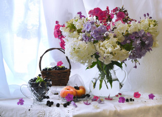 Картинка еда фрукты +ягоды смородина флоксы персик