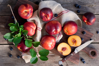 Картинка еда персики +сливы +абрикосы нектарины