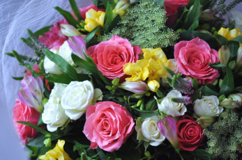 Картинка цветы букеты +композиции фрезии розы