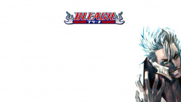 Картинка аниме bleach арт гримджоу белый фон блич