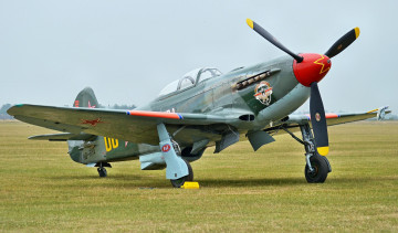 Картинка авиация боевые+самолёты ссср истребитель поле Як-9