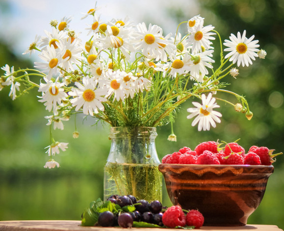 Обои картинки фото еда, фрукты,  ягоды, малина, ромашки, смородина