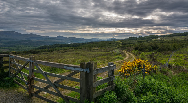 Обои картинки фото природа, дороги, поле, дорога, забор, калитка, тучи