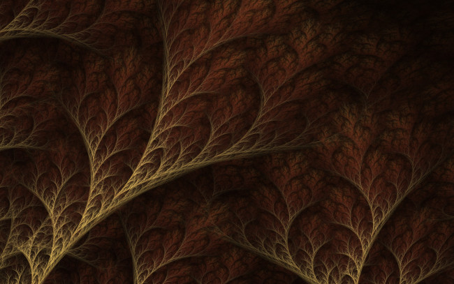 Обои картинки фото 3д графика, фракталы , fractal, узор, цвета, фон