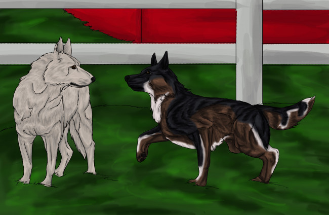 Обои картинки фото рисованные, животные,  собаки, собаки