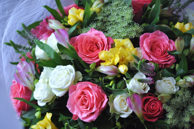 Обои картинки фото цветы, букеты,  композиции, фрезии, розы