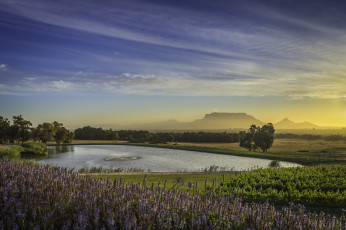 Картинка природа реки озера рассвет