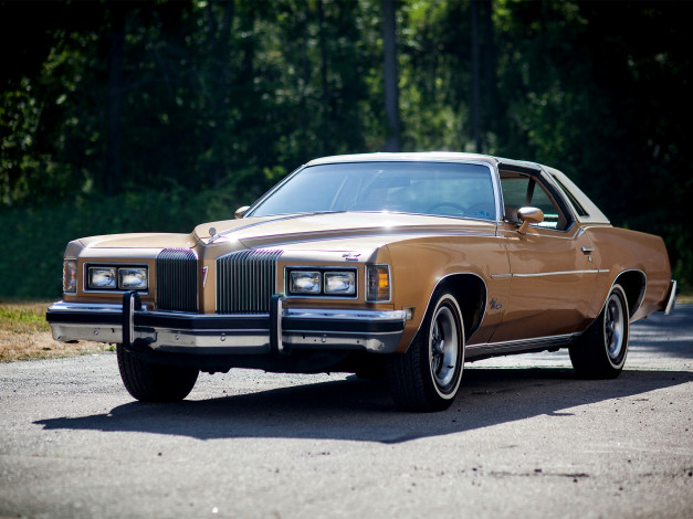 Обои картинки фото автомобили, pontiac