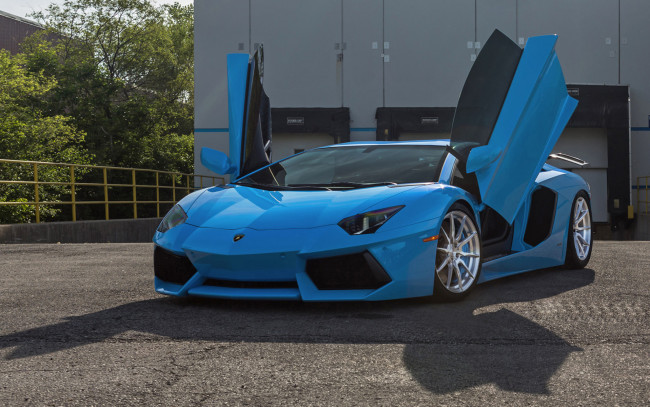 Обои картинки фото автомобили, lamborghini