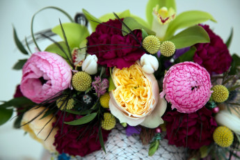 Картинка цветы букеты +композиции орхидеи розы