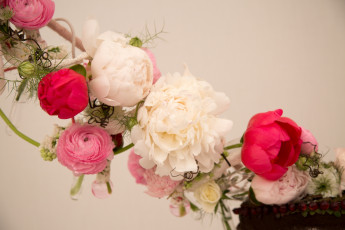Картинка цветы букеты +композиции ранункулюс пионы