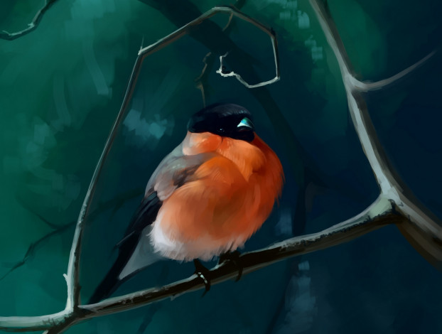 Обои картинки фото рисованное, животные,  птицы, ветки, снегирь