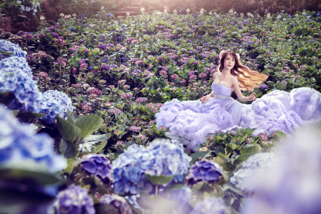 Обои картинки фото девушки, -unsort , азиатки, цветы, азиатка, девушка, гортензия