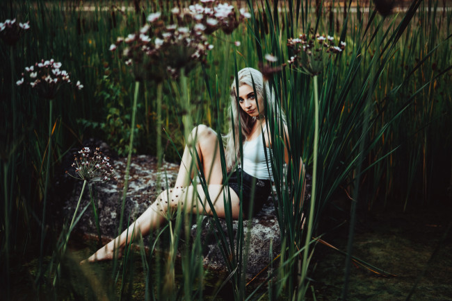 Обои картинки фото девушка, девушки, -unsort , блондинки,  светловолосые, модель