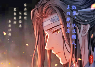 Картинка аниме mo+dao+zu+shi лань ванцзи лицо слеза
