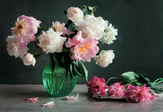 Картинка цветы пионы букет лепестки