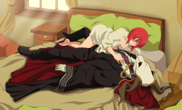 Картинка аниме mahou+tsukai+no+yome невеста чародея