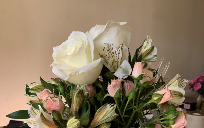 Обои картинки фото цветы, букеты,  композиции, розы, альстромерия