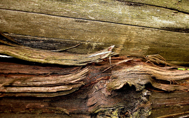 Обои картинки фото разное, текстуры, доски, щепки