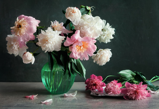 Обои картинки фото цветы, пионы, букет, лепестки