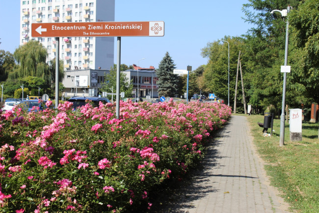 Обои картинки фото krosno, podkarpackie voivodeship, poland, города, - улицы,  площади,  набережные, podkarpackie, voivodeship
