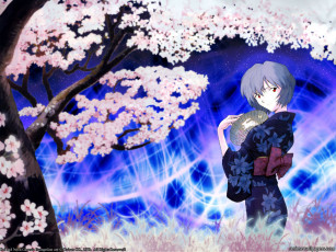 Картинка аниме evangelion