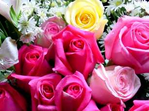 Картинка цветы розы