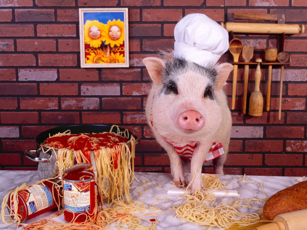 Обои картинки фото животные, свиньи, кабаны