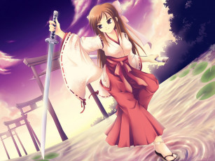 Картинка аниме weapon blood technology