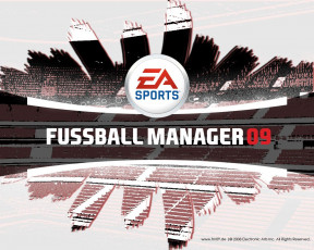 Картинка fifa manager 09 видео игры