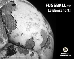 Картинка fifa manager 09 видео игры