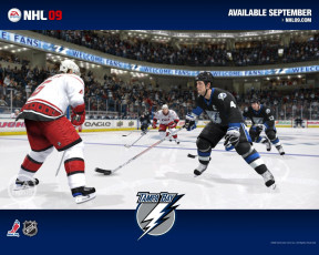 Картинка nhl 09 видео игры