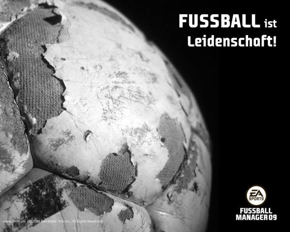 Обои картинки фото fifa, manager, 09, видео, игры