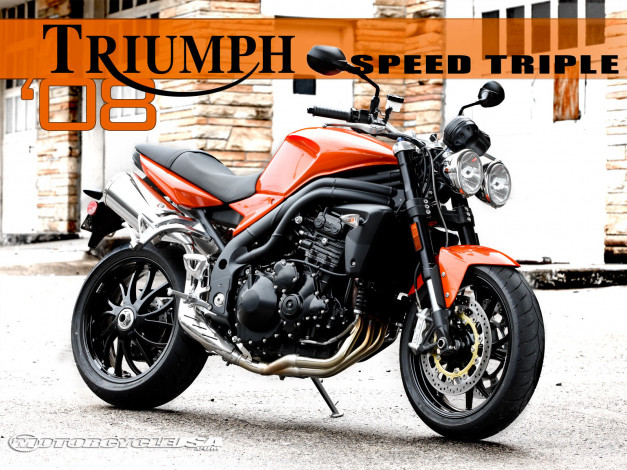 Обои картинки фото мотоциклы, triumph