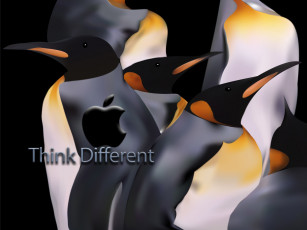 Картинка компьютеры apple