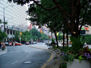 Картинка торонто города канада