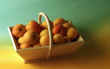 Картинка еда персики сливы абрикосы