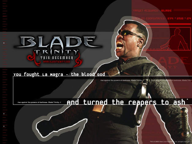 Обои картинки фото кино, фильмы, blade, trinity