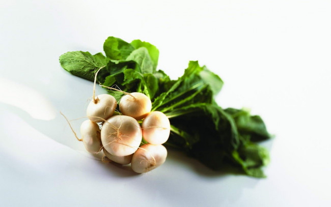 Обои картинки фото еда