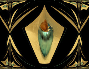 Картинка 3д графика fractal фракталы абстракция узор