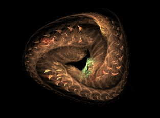 Картинка 3д графика fractal фракталы абстракция