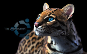 Картинка компьютеры ubuntu linux оцелот