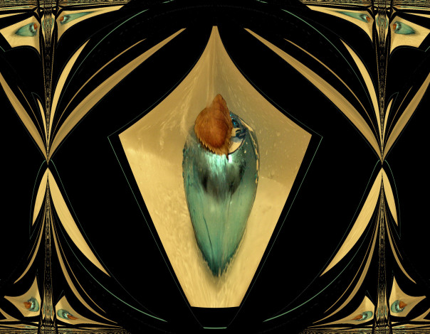 Обои картинки фото 3д, графика, fractal, фракталы, абстракция, узор