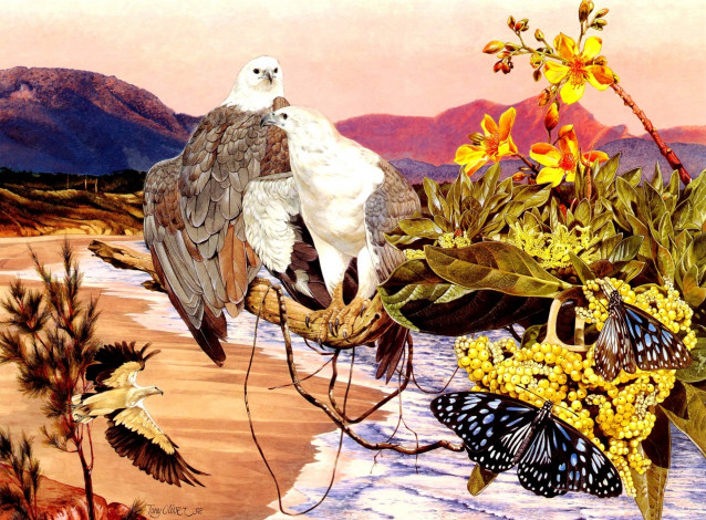 Обои картинки фото тони, оливер, рисованные, tony, oliver, цветы, бабочки, орлы