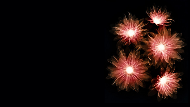 Обои картинки фото 3д, графика, flowers, цветы, фон, тёмный