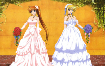 Картинка аниме mahou shoujo lyrical nanoha