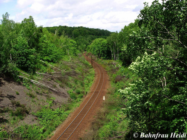 Обои картинки фото разное, транспортные, средства, магистрали, лес, рельсы